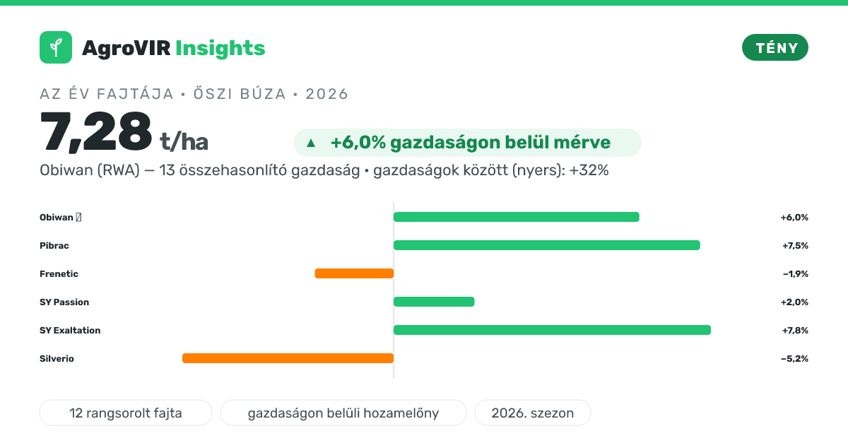 🏆 32%-kal termett az átlag fölött az év búzafajtája. Évről évre is hozza?