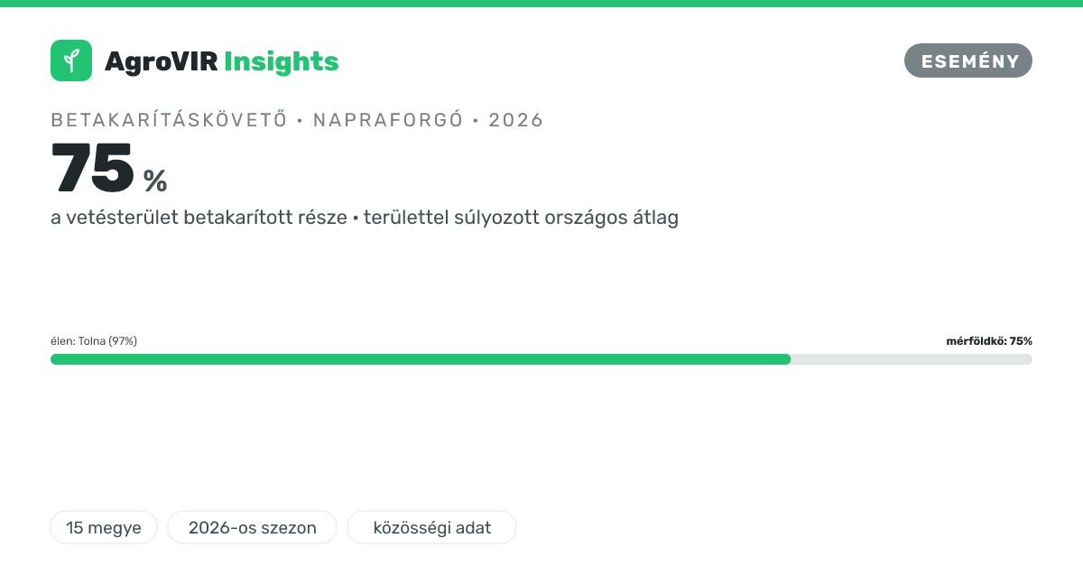 🌾 A napraforgó 75,4%-a lekerült, 8 nappal korábban, mint tavaly. Hol a leggyorsabb?